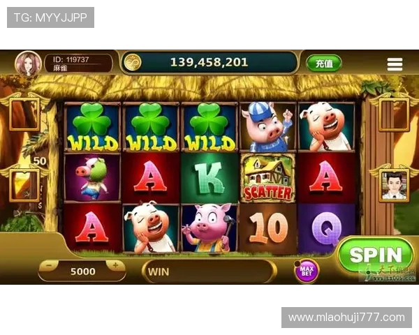 最新真钱老虎机游戏软件排行榜，丰富多样的游戏选择满足不同玩家需求